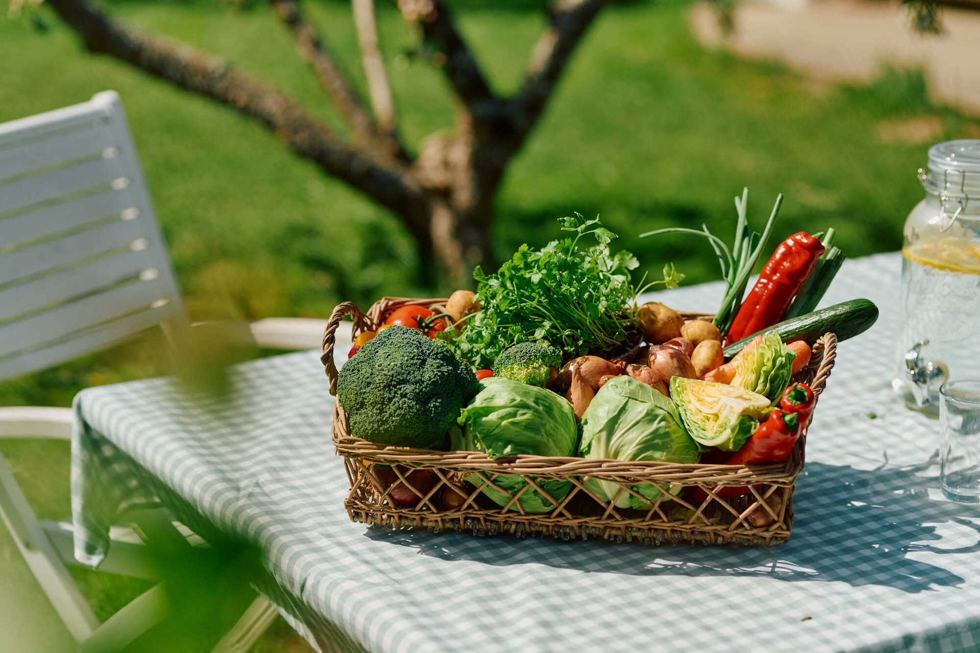 A wicker basket brimming with fresh vegetables sits on a checkered table outdoors.