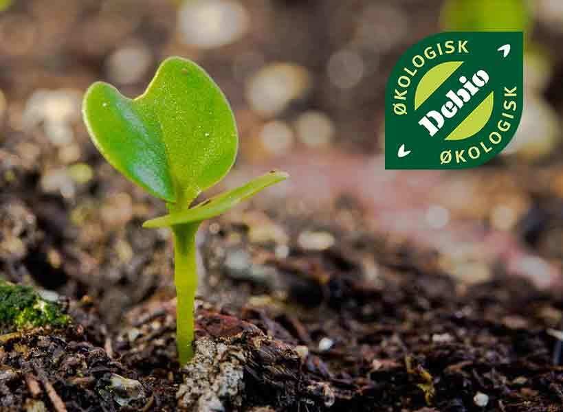 A vibrant green seedling sprouts from rich soil, with a Debio Økologisk organic logo in the top right.
