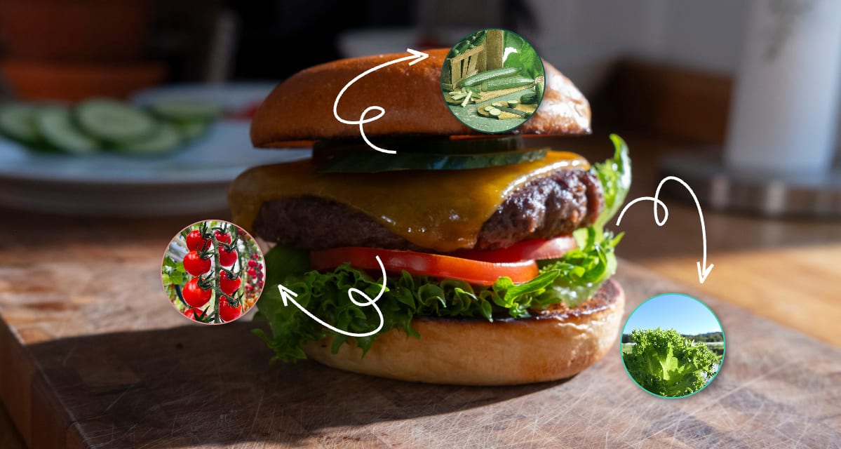 A cheeseburger with lettuce, tomato, and cucumber, showing ingredient origins in bubbles.