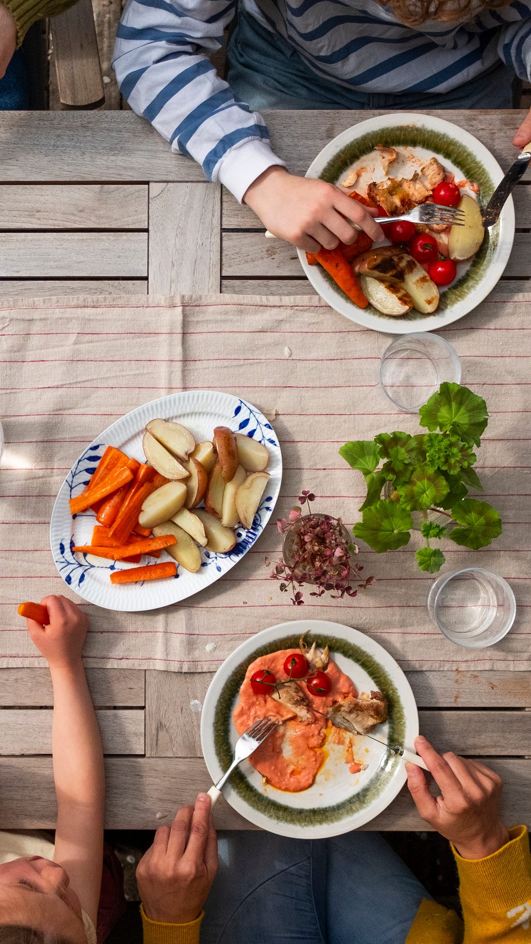 Overhead view of a family dining outdoors, with hands eating roasted vegetables and chicken/fish.